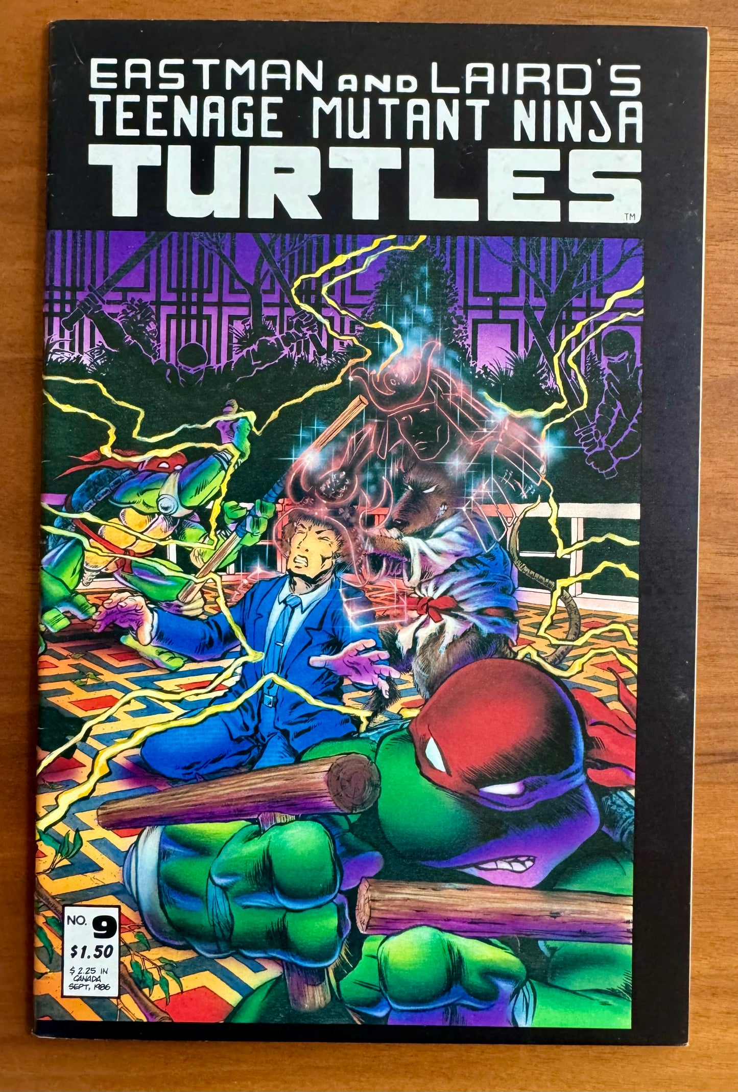 Teenage Mutant Ninja Turtles #9 VF+