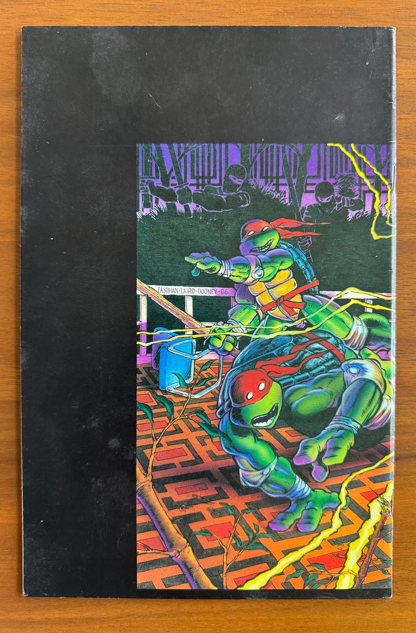 Teenage Mutant Ninja Turtles #9 VF+