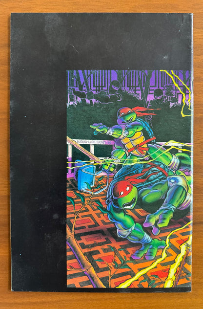 Teenage Mutant Ninja Turtles #9 VF+