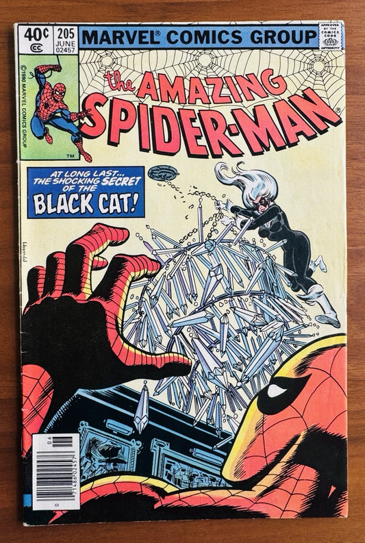 Amazing  Spider-Man # 205  Fine 6.0