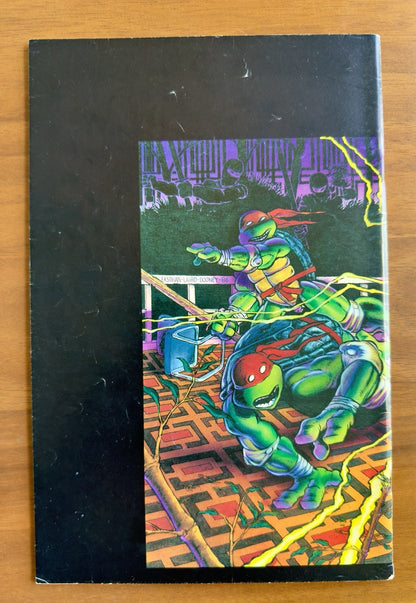 Teenage Mutant Ninja Turtles #9 Mirage Comics 1st Splinter Cover TMNT